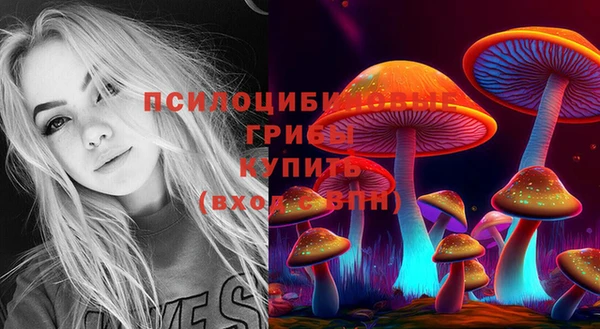 круглые Алексин