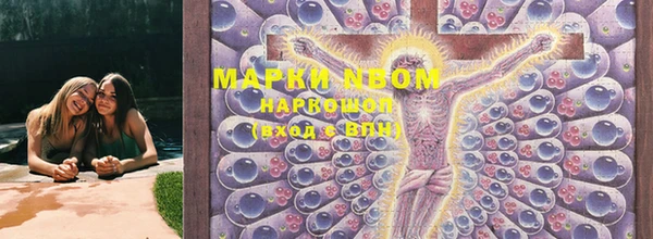индика Алзамай
